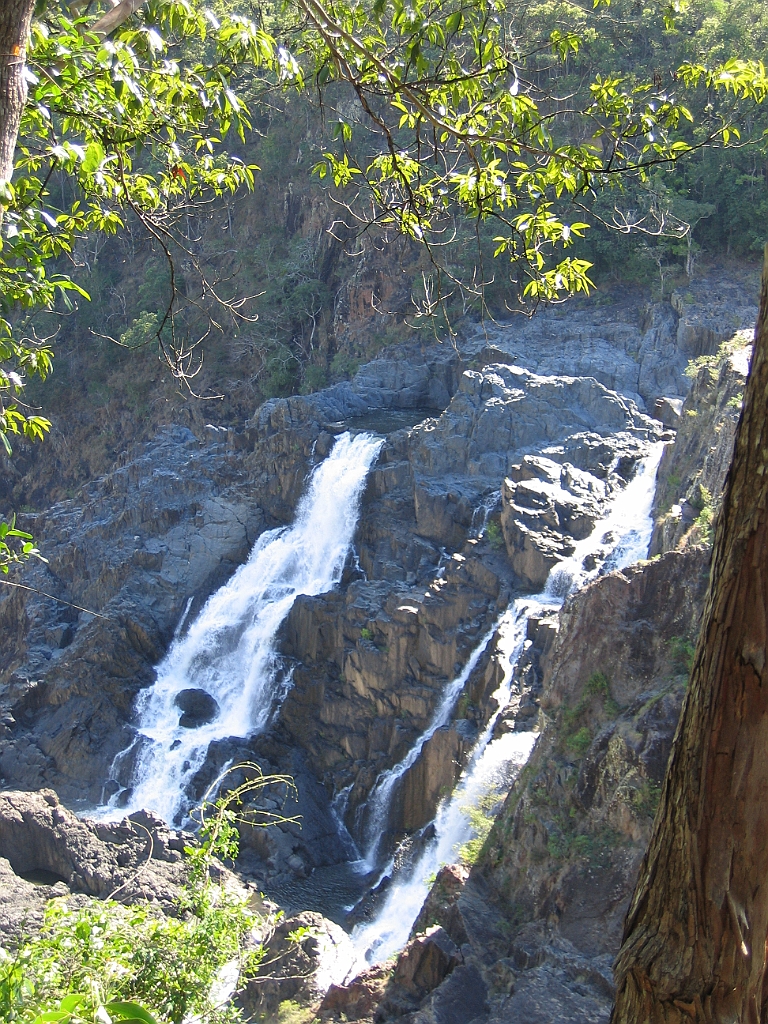 CairnsTC326 Kuranda.jpg